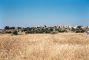 La Syrie autosuffisante en blé, une première en 15 ans