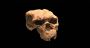 Ancient Chinese Skull Challenges Human Evolution Timeline