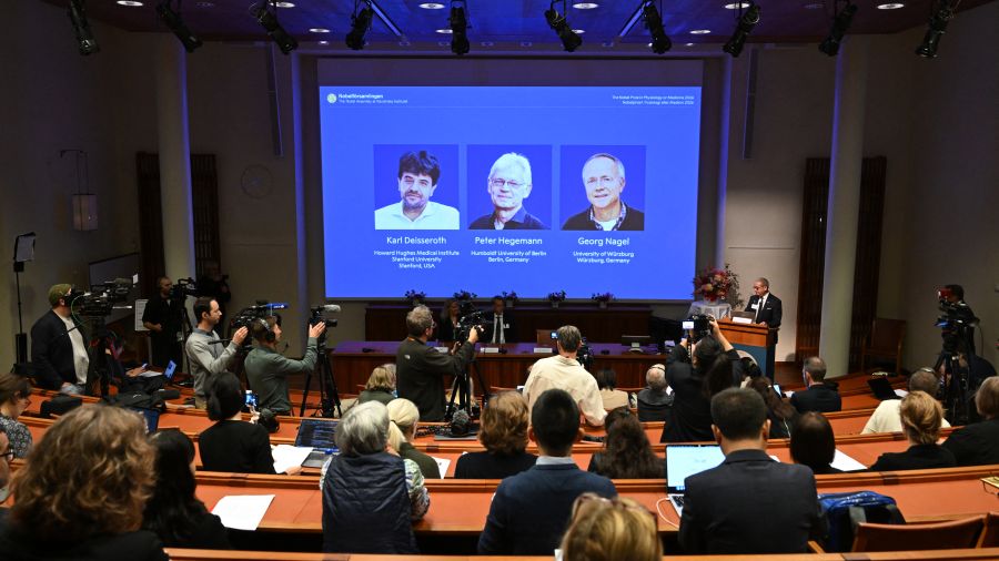 Le Nobel de médecine récompense un trio américano-allemand pour leurs travaux sur la mémoire