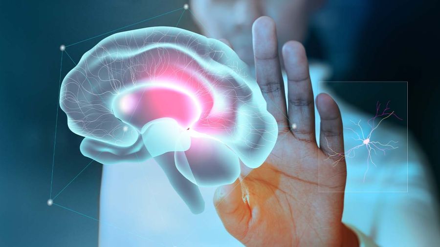 «On est déjà dans la science-fiction»: la discrète révolution des neurotechnologies