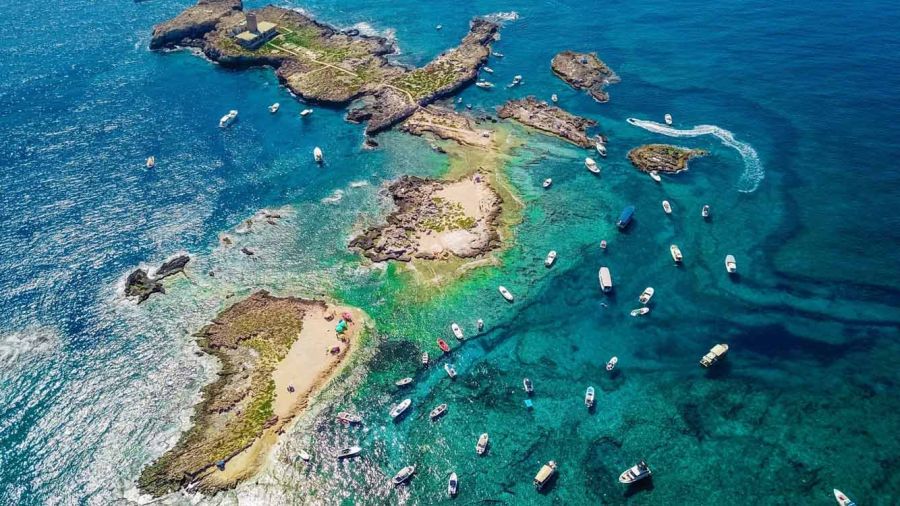 Les îles des Palmiers, le Liban sauvage
