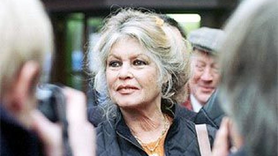«Bardot»: un documentaire au cinéma revient sur la vie de l'icône française