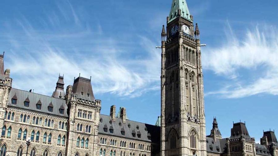 Le prix de la liberté de la presse Canada-Royaume Uni à Mada Masr