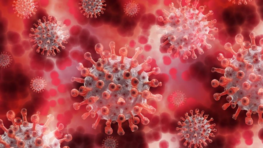 Additifs alimentaires : les alertes sanitaires se multiplient