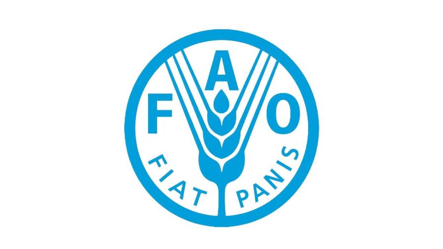 La FAO renforce ses partenariats pour l’avenir agricole du Liban