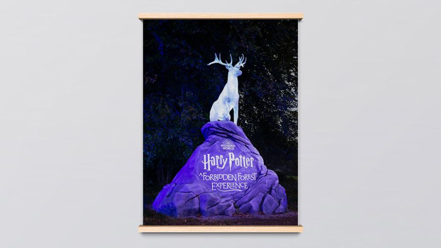 L’exposition Harry Potter à Vienne, avant Paris au printemps