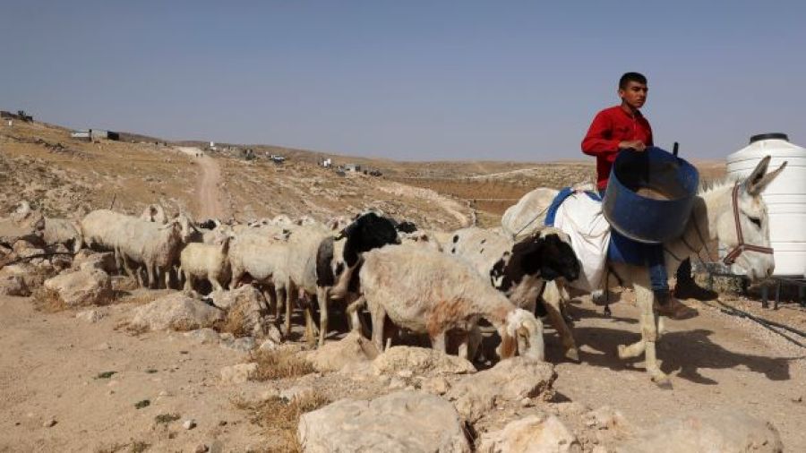 En Palestine occupée, les expulsions de masse se poursuivent