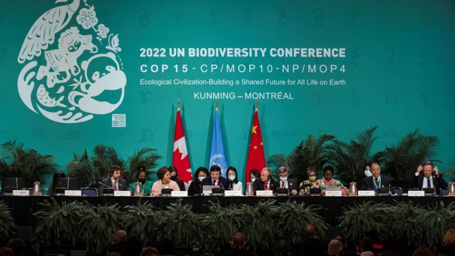 A la COP15, discussions pour un \