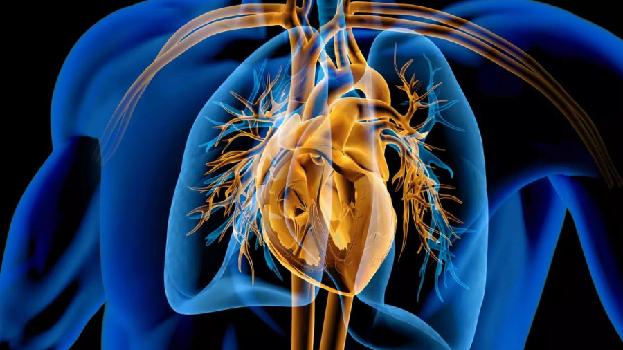 Zakhia Saliba signe une première au Liban : valve pulmonaire sans chirurgie lourde