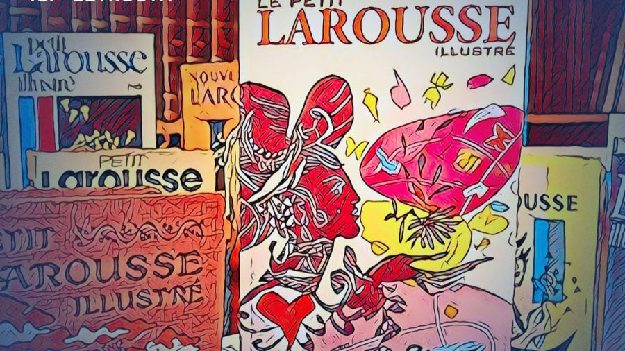 Le Larousse accueille les NFT, le wokisme et l'halloumi…