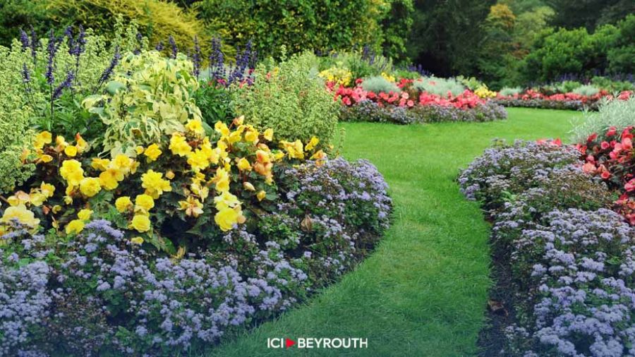 Le jardin, une passion anglaise menacée par la sécheresse