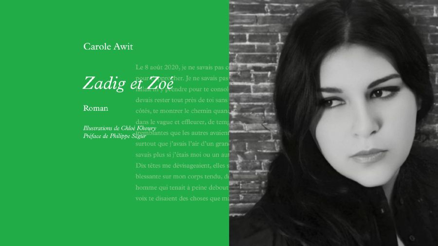 «Zadig et Zoé» de Carole Awit: grandir parmi les ruines