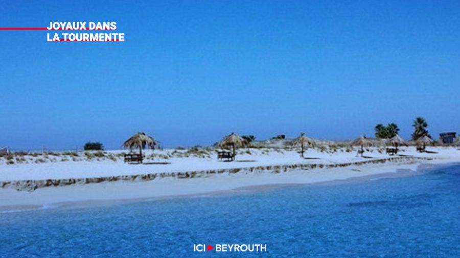 Réserves naturelles : les îles du palmier à Tripoli