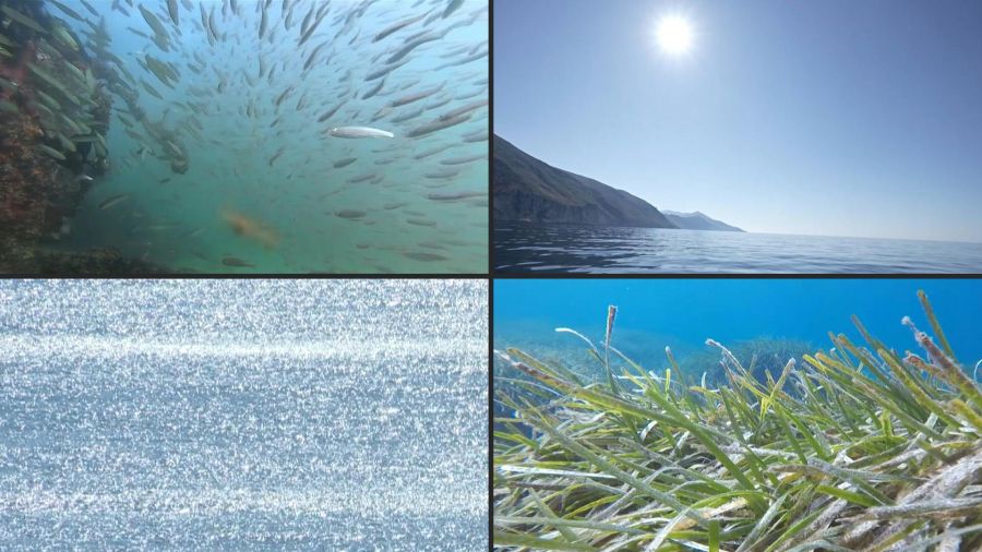 La mer Mediterranée a enregistré dimanche une température record pour un mois de juin