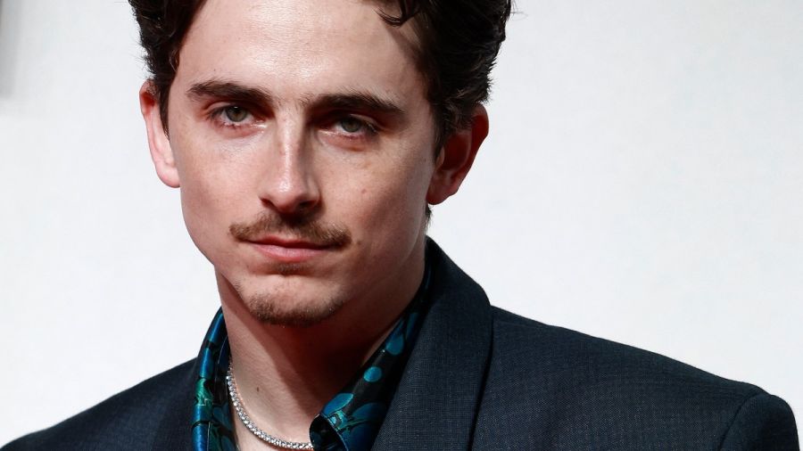 Timothée Chalamet se glisse dans la peau de Bob Dylan