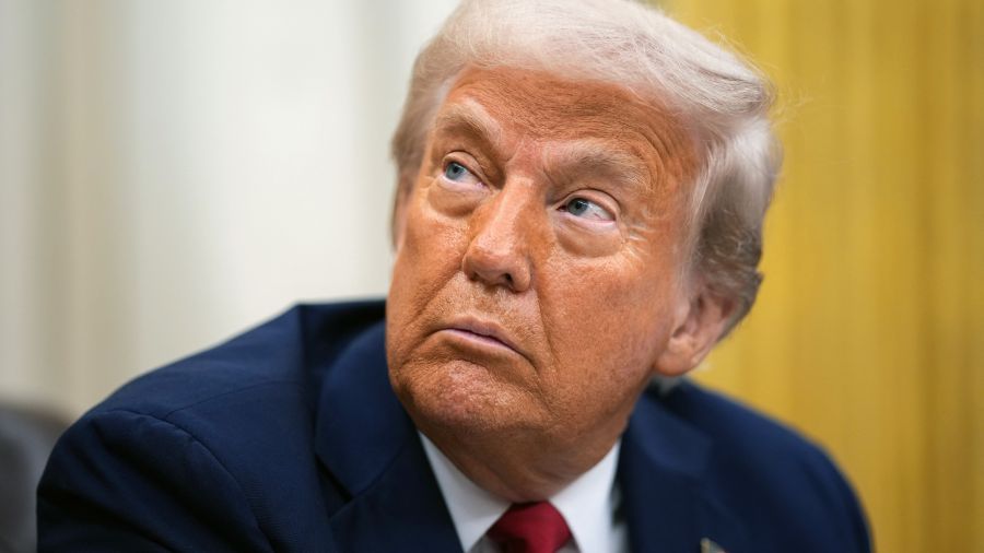 Du Wisconsin à la Floride, premiers tests électoraux pour Trump et Musk