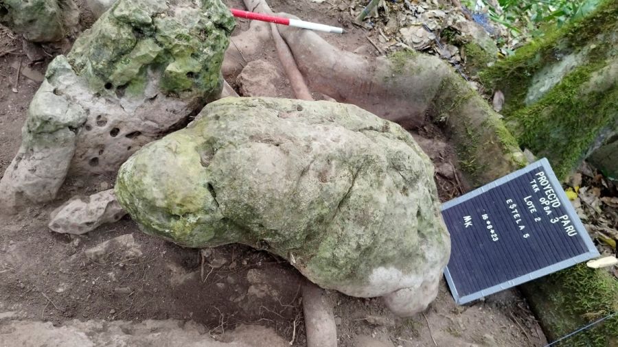 Une ancienne cité maya révélée au Guatemala après 2.800 ans