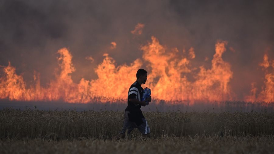 Les feux de forêt détériorent la qualité de l'air à des milliers de kilomètres, selon l'ONU