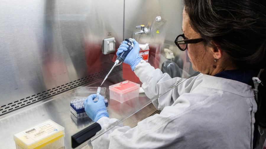 Dans les coulisses de la course au dépistage de l'hantavirus sur le bateau de croisière