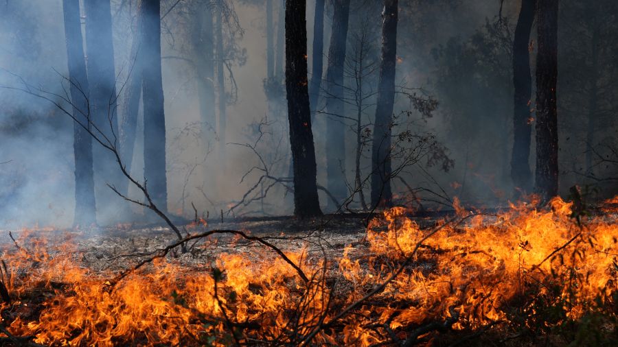 Incendies en Europe: les derniers développements