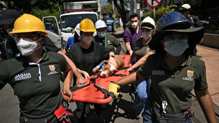 Séisme en Colombie: 200 millions de dollars d’aide versée par la Banque mondiale