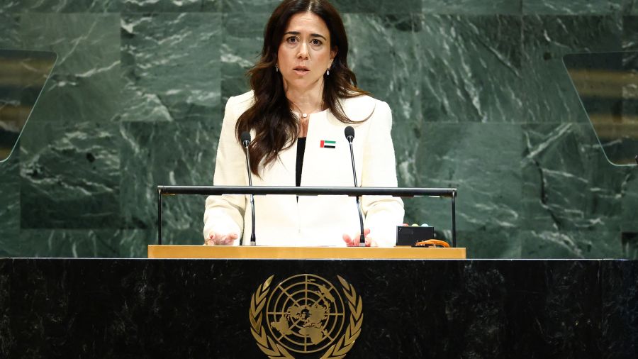 Chef de l'ONU: des ONG appellent à barrer la route à la candidate émiratie