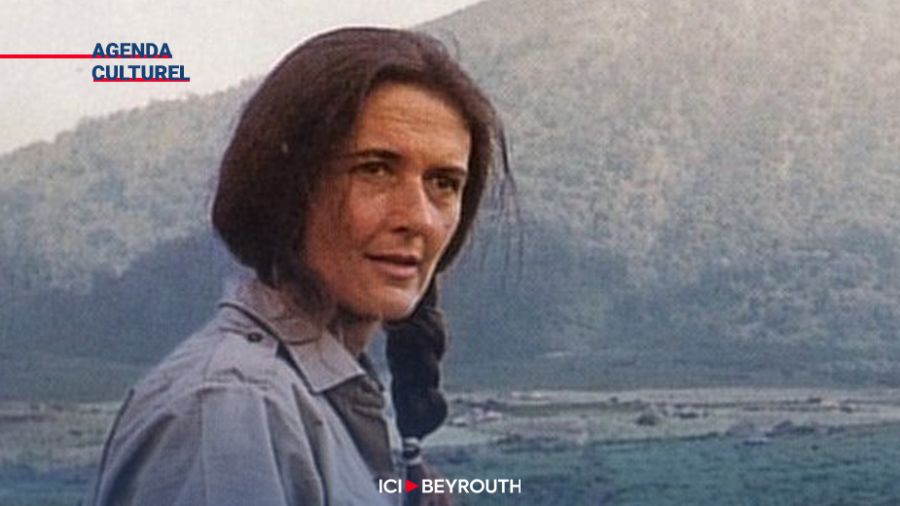 Dian Fossey, une vie dédiée aux gorilles de montagne