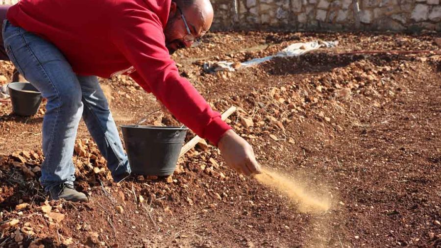 Au Liban, la crise économique provoque un timide retour à la terre