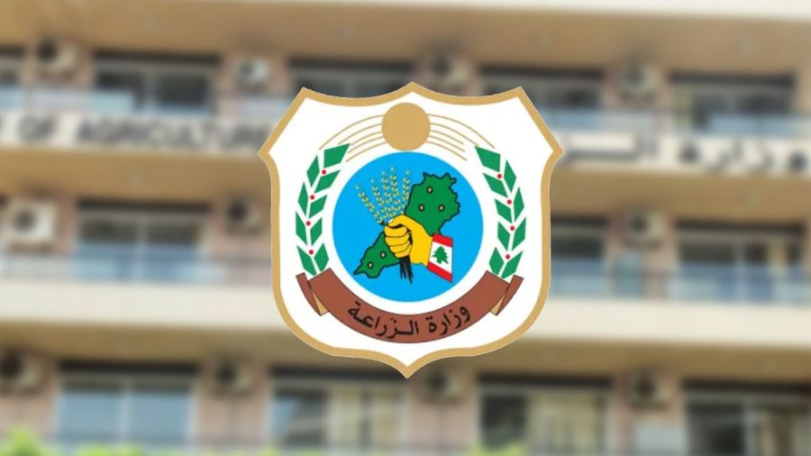 Canicule au Liban: renforcement des mesures de prévention des incendies