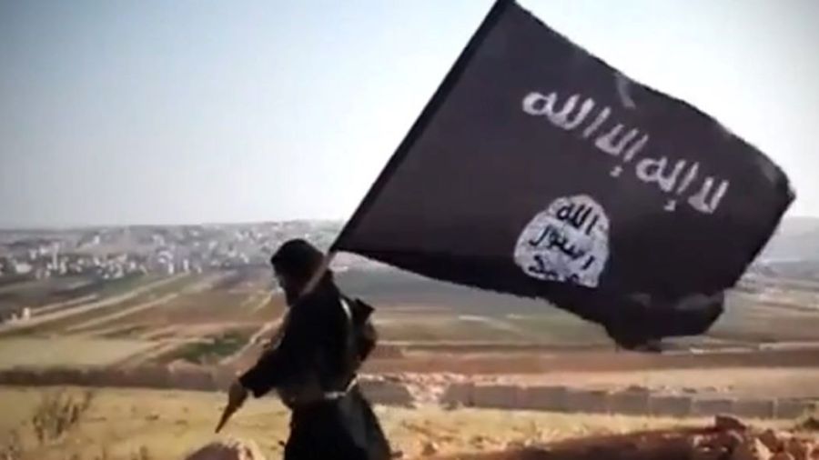 Syrie : les forces américaines capturent trois membres de l'EI