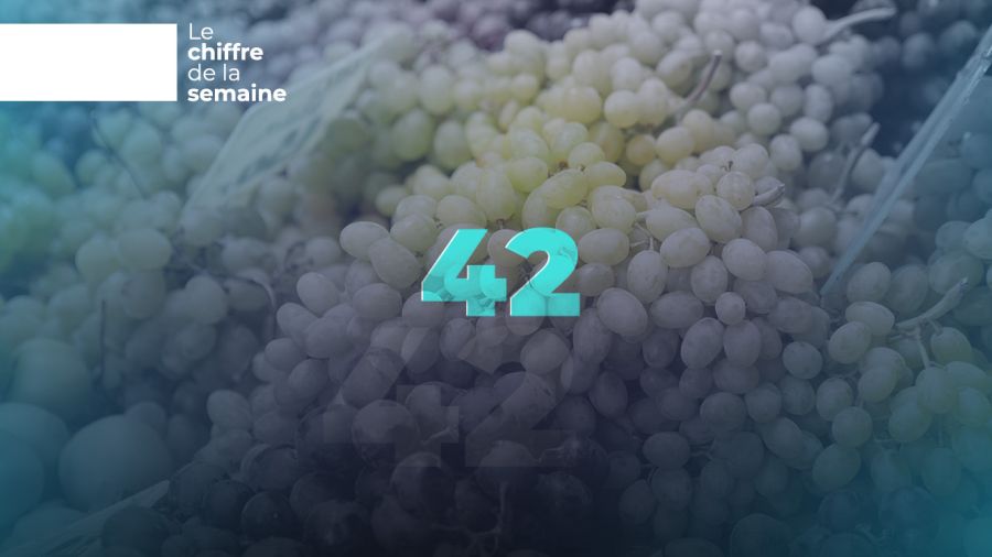 42 marchés : la success story du raisin libanais