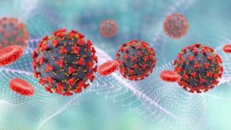 Influenza au Liban : Bizri rassure, la H3N2 circule… et nos habitudes lui déroulent le tapis rouge