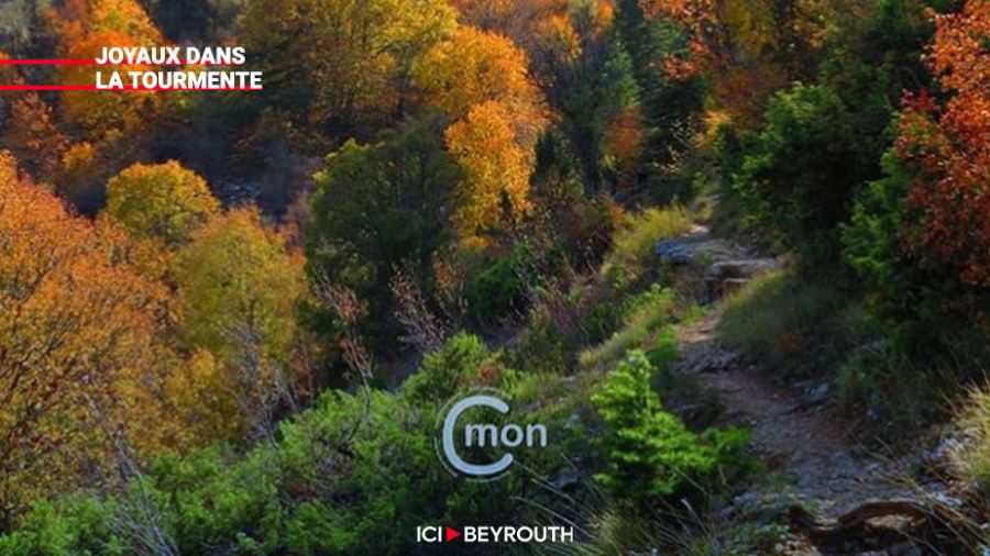Les réserves naturelles du Liban: Horsh Ehden