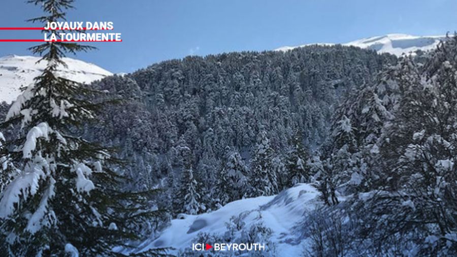 Les réserves naturelles du Liban (1)- Géographie