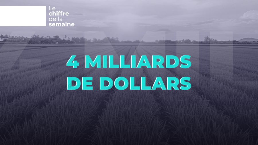 Quatre milliards de dollars: le poids réel de l’agriculture libanaise