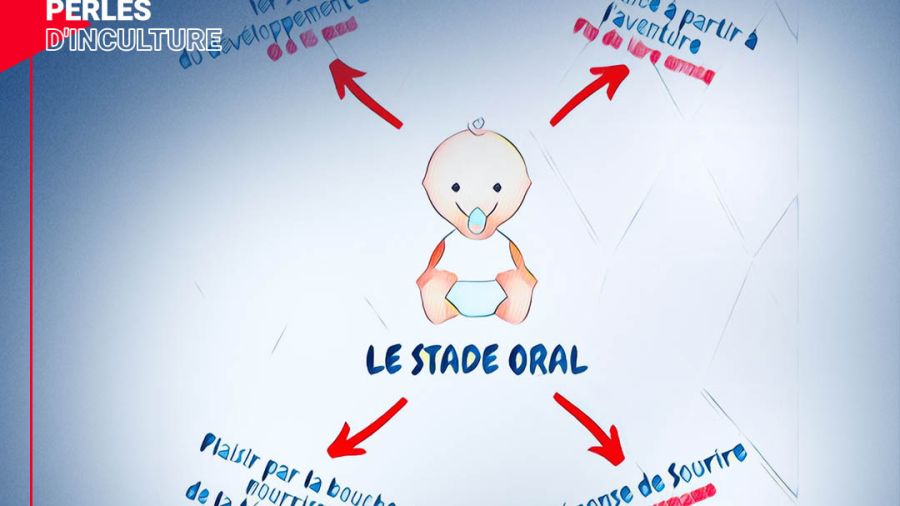 Lexique inédit sur les stades du développement sexuel de l’enfant