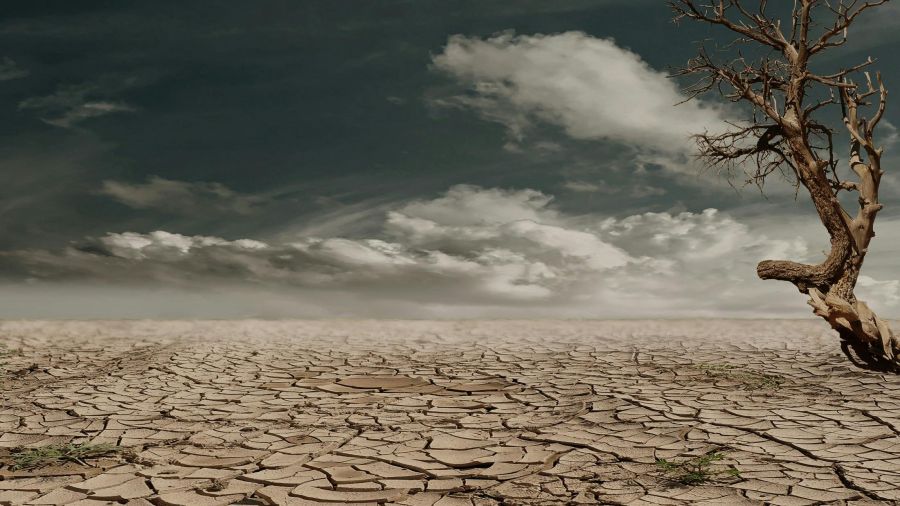 La moitié de l'humanité a subi un mois supplémentaire de canicule à cause du réchauffement, selon une étude