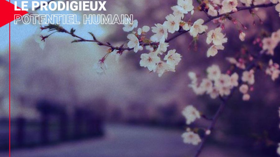 L'amour de l'unique ou l'épure d'un sentiment
