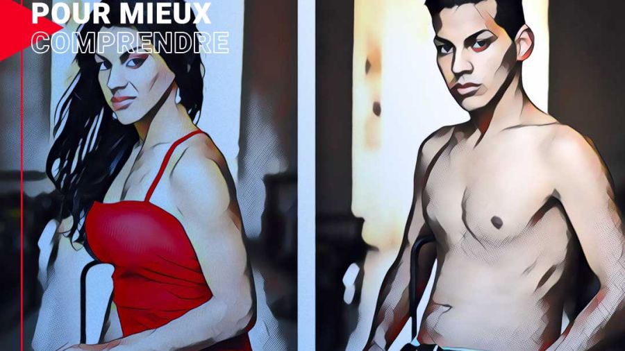 Le Transgenre, un besoin, un choix, une pathologie?