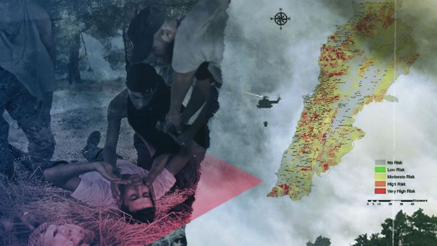 Quel bilan dresse-t-on des incendies de forêts au Liban ?