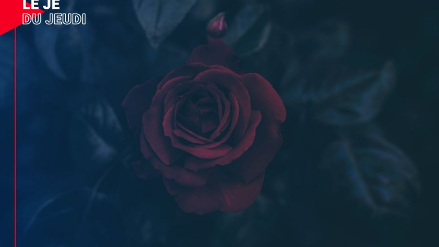 C'est en croyant aux roses qu'on les fait éclore