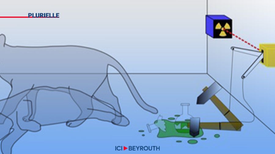 Mort ou vivant, le chat?