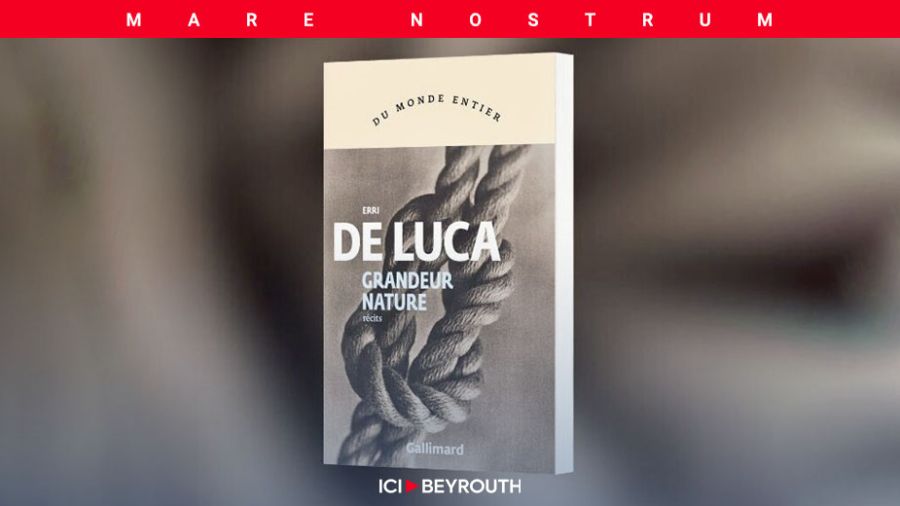 «Grandeur nature», l’ouvrage dense d’Erri De Luca