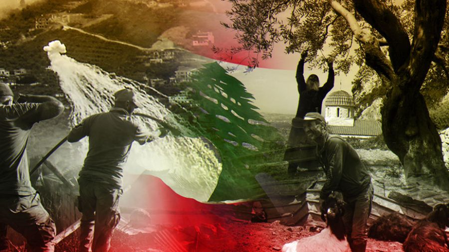 «Terre brûlée», la guerre d'Israël contre l’environnement au Liban