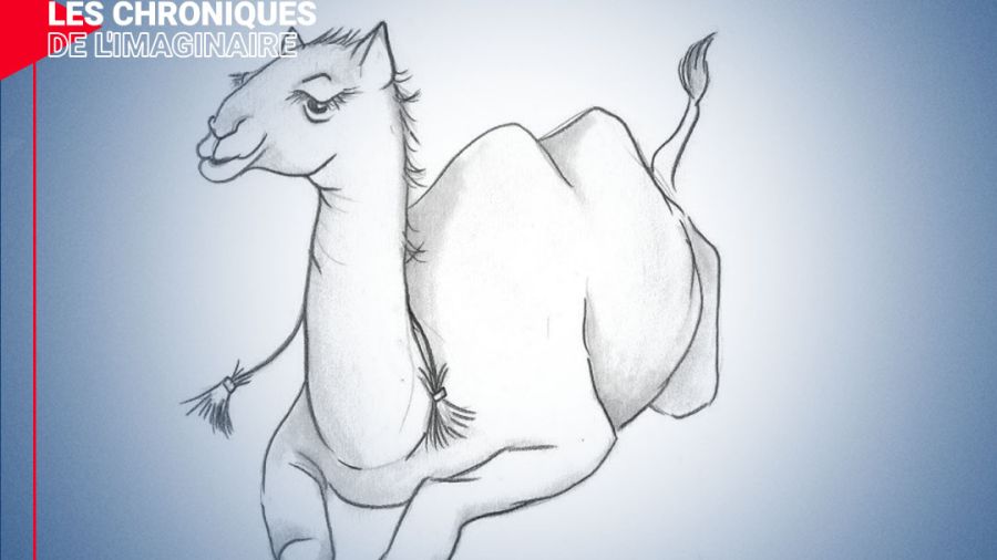 Le désert où je vis