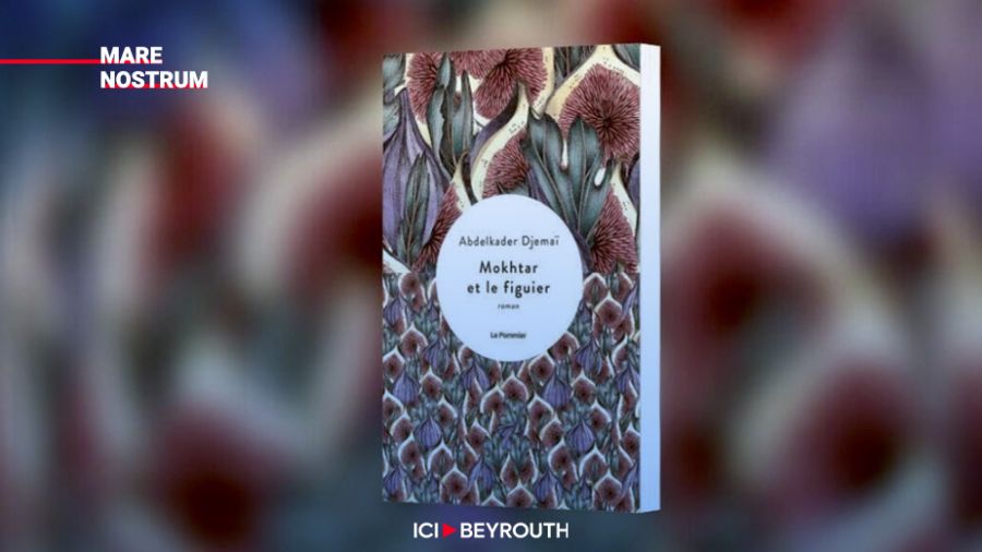 «Mokhtar et le figuier» de  Abdelkader Djemaï