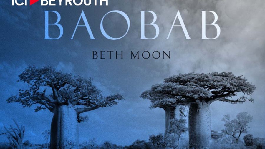 Baobab de Beth Moon: hommage à l’arbre à l’envers