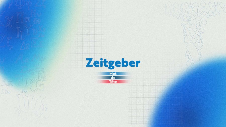 «Zeitgeber»: le synchroniseur de notre horloge intérieure