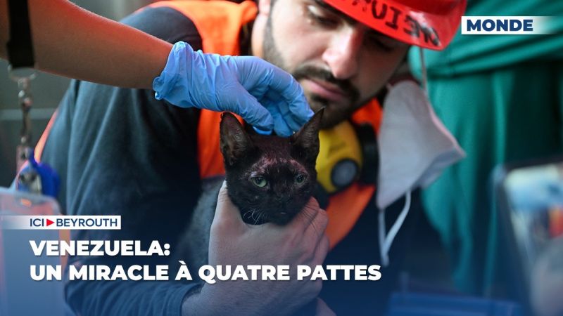 Venezuela: Un miracle à quatre pattes