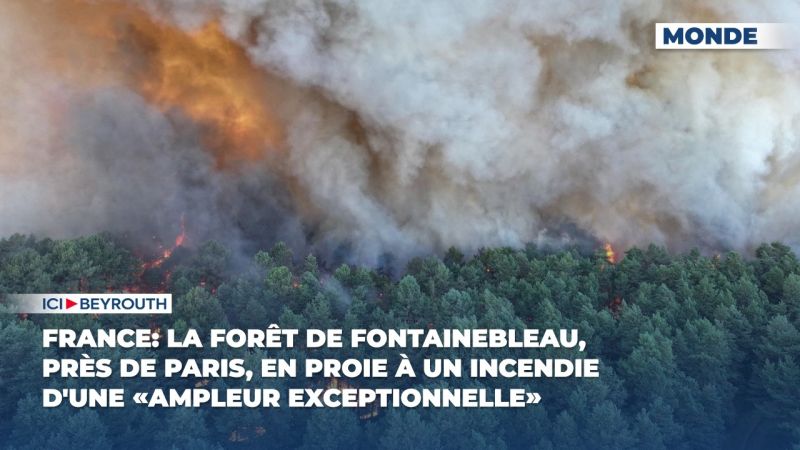 Incendie hors norme dans la forêt de Fontainebleau près de Paris, une «origine volontaire» évoquée